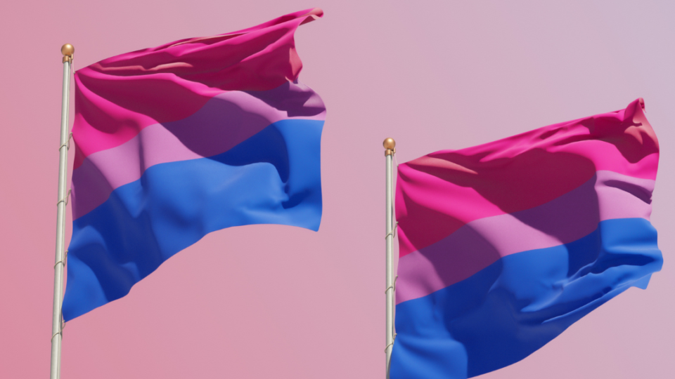 WebOuest Semaine de visibilité de la bisexualité: des clichés à éliminer