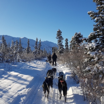 WebOuest Six cadeaux du Yukon pour adeptes du plein air