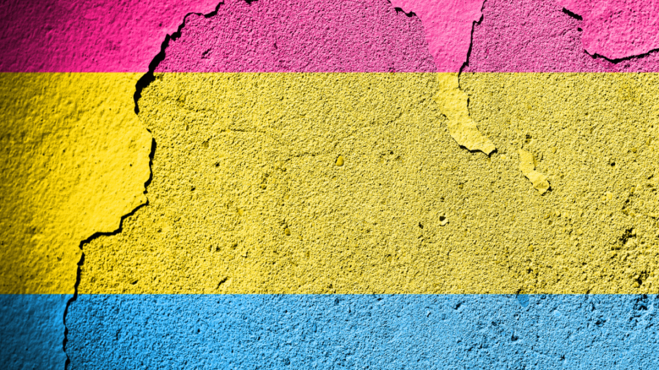 WebOuest 8 décembre: Journée de la fierté pansexuelle
