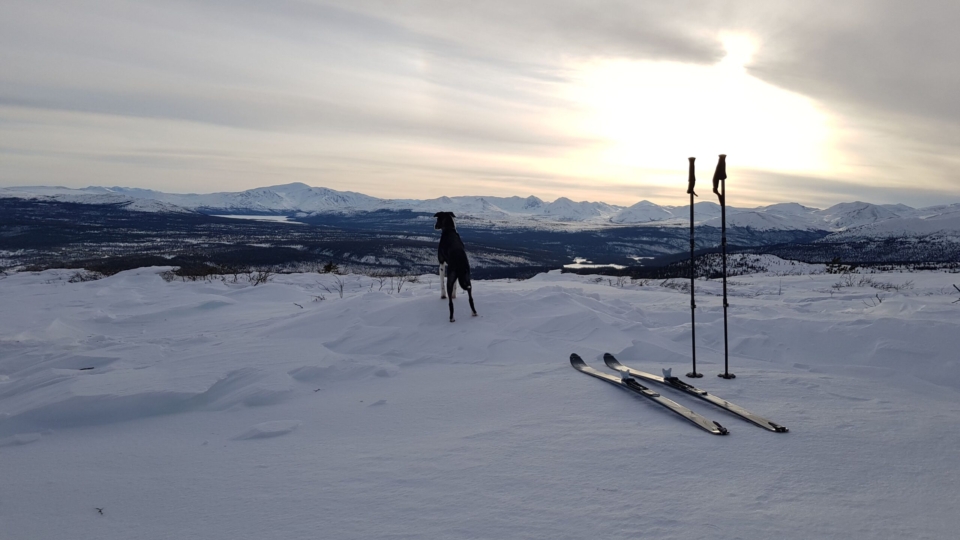 WebOuest Le Yukon, un paradis pour le ski de randonnée nordique?