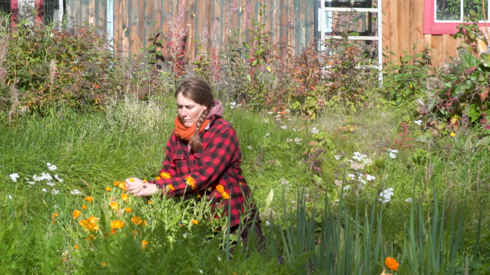 WebOuest Vivre vert : préparer un super baume naturel