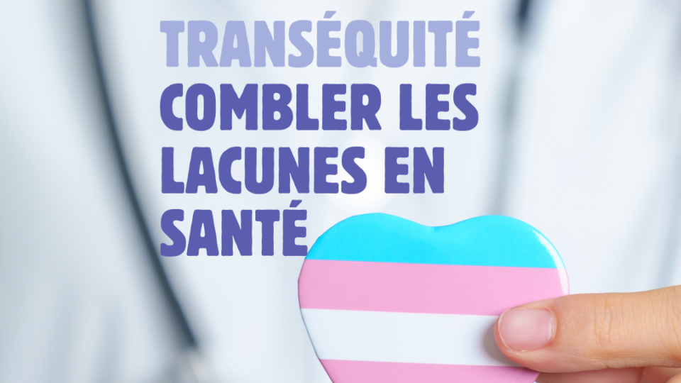 WebOuest TransÉquité: combler les lacunes en santé