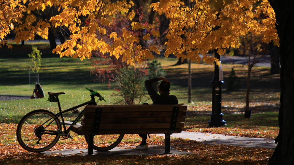 WebOuest L’automne à Lethbridge
