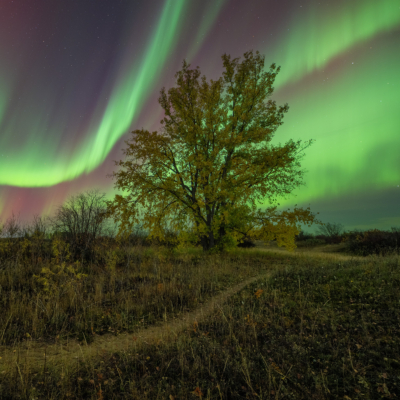 WebOuest Les aurores boréales à leur meilleur : profitez du spectacle céleste dès maintenant