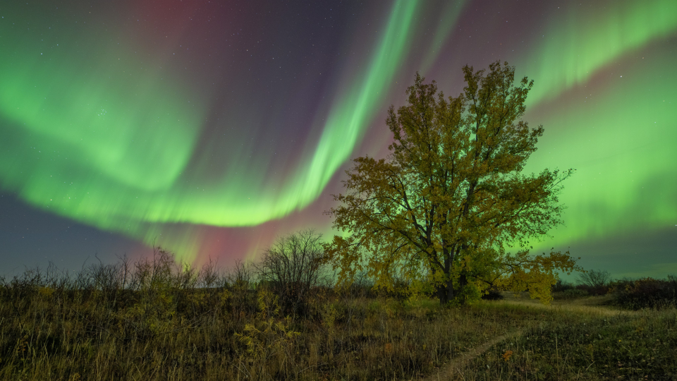 WebOuest Les aurores boréales à leur meilleur : profitez du spectacle céleste dès maintenant