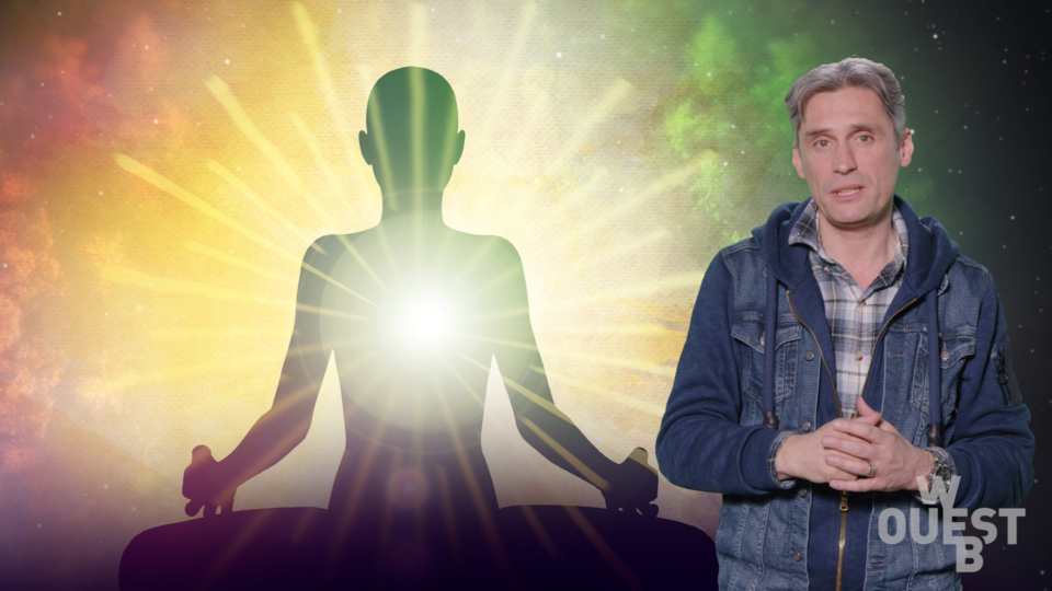 WebOuest LSSTSLT : Mort au cerveau