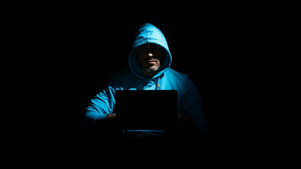 WebOuest 62 millions de vues durant le mois le plus court de l’année- et on en fait quoi?