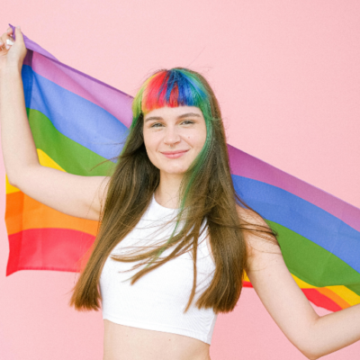 WebOuest Les drapeaux ne sont pas des décorations