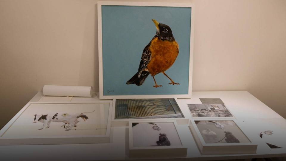 WebOuest Reflets d&rsquo;artistes : Yvette Cenerini